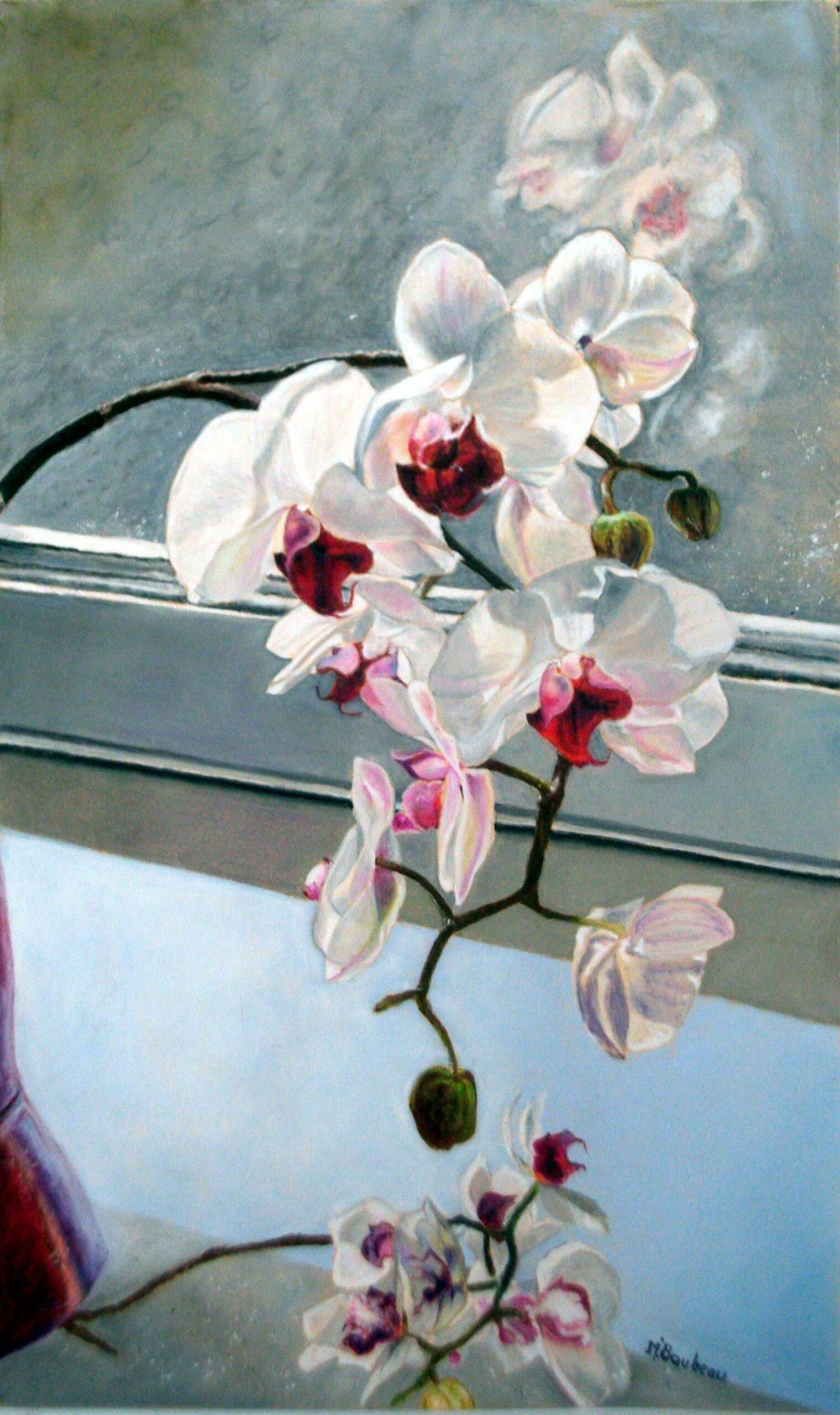 L'orchidée-52x42
